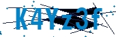 recaptcha