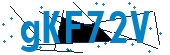 recaptcha