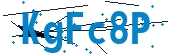 recaptcha