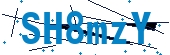 recaptcha